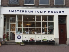 "Tata Steel 2016" (Amsterdam)
