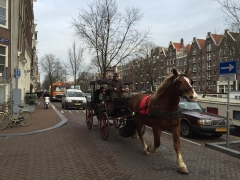 "Tata Steel 2016" (Amsterdam)
