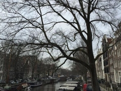 "Tata Steel 2016" (Amsterdam)